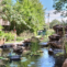 Chartwell Manoir Kirkland
