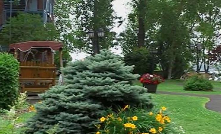 Au-fil de leau - arrière