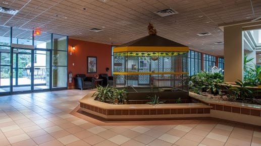 Les Jardins Interieurs