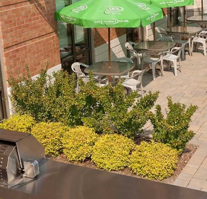 Lux Gouverneur aire commune