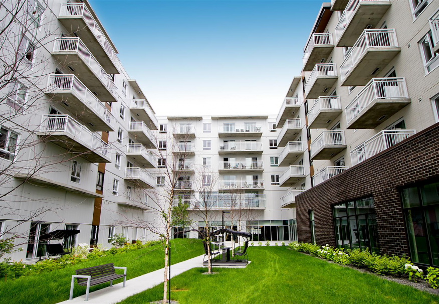 Selection Rock Forest