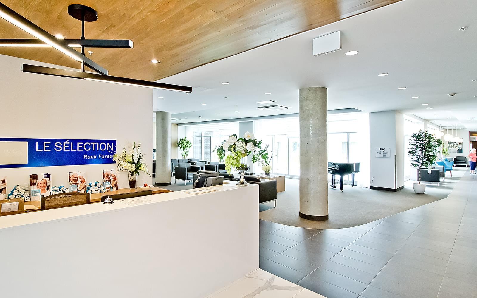 Selection Rock Forest