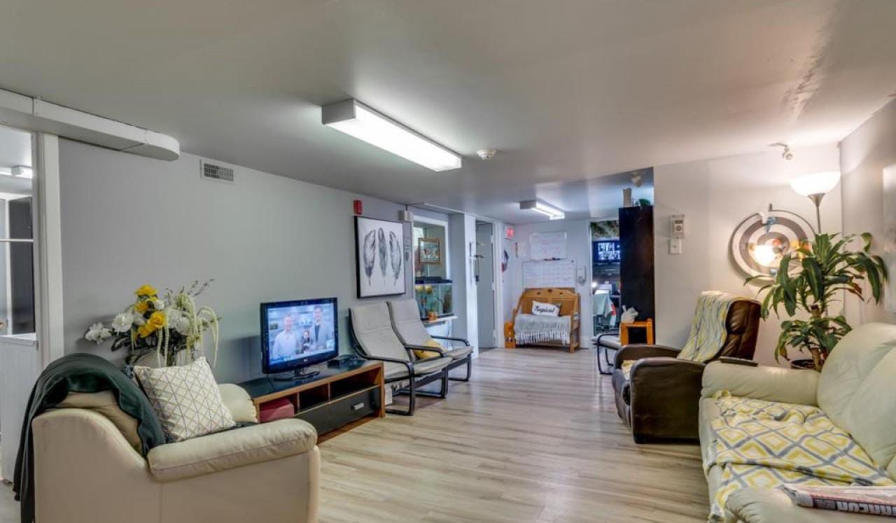 La grive au petit bonheur